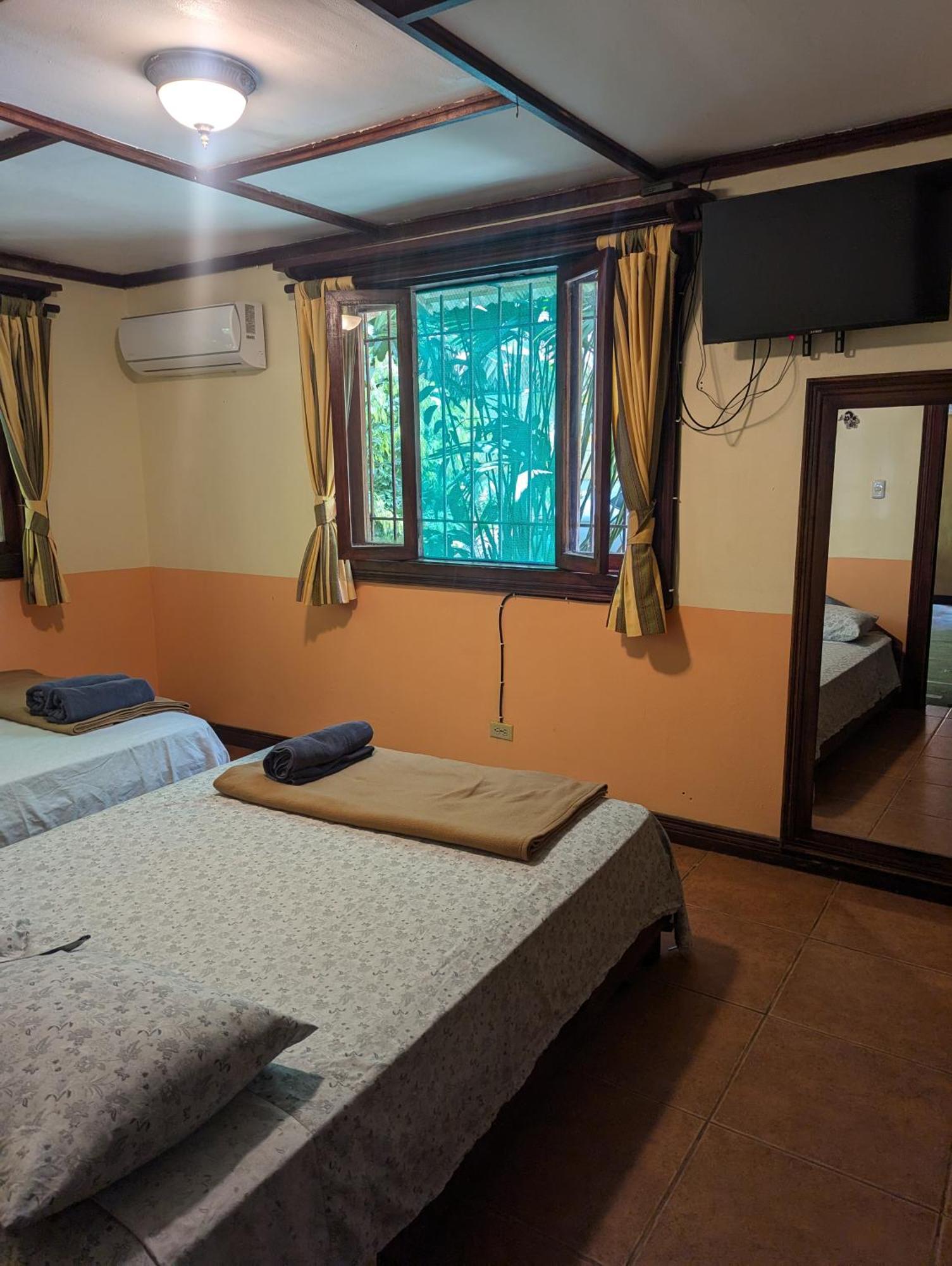 Tasty Dayz Hostel Puerto Viejo de Talamanca المظهر الخارجي الصورة