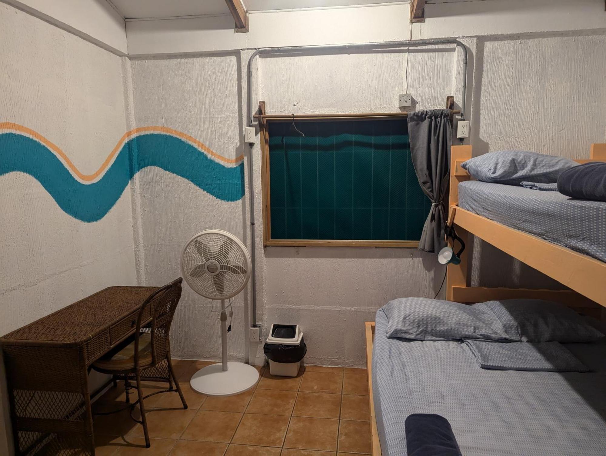 Tasty Dayz Hostel Puerto Viejo de Talamanca المظهر الخارجي الصورة