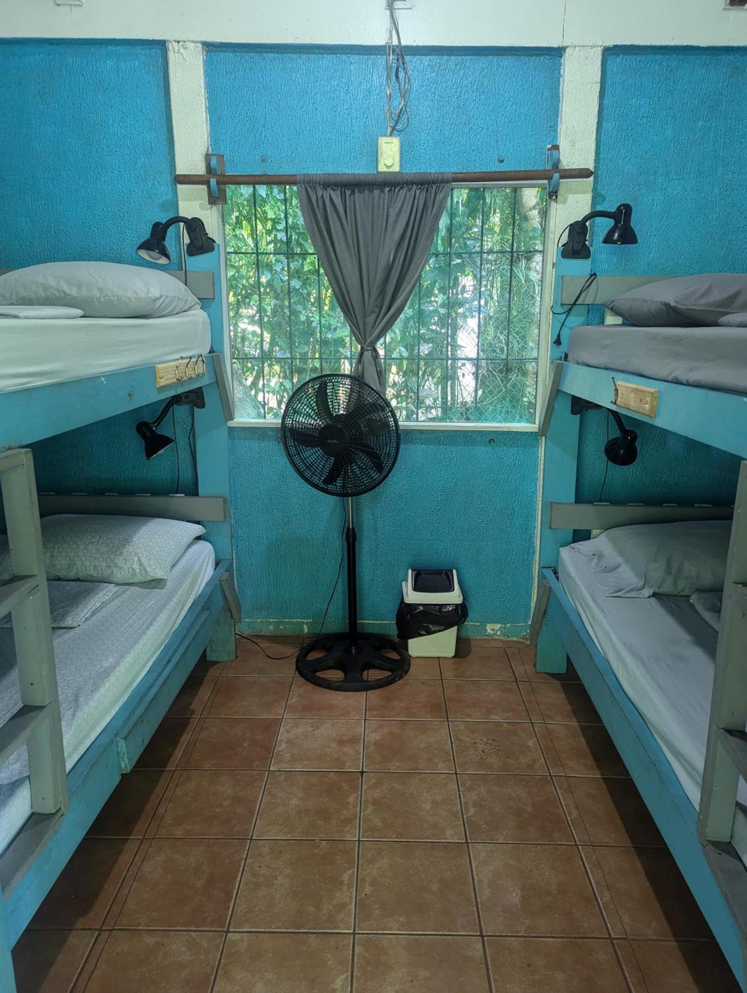 Tasty Dayz Hostel Puerto Viejo de Talamanca المظهر الخارجي الصورة