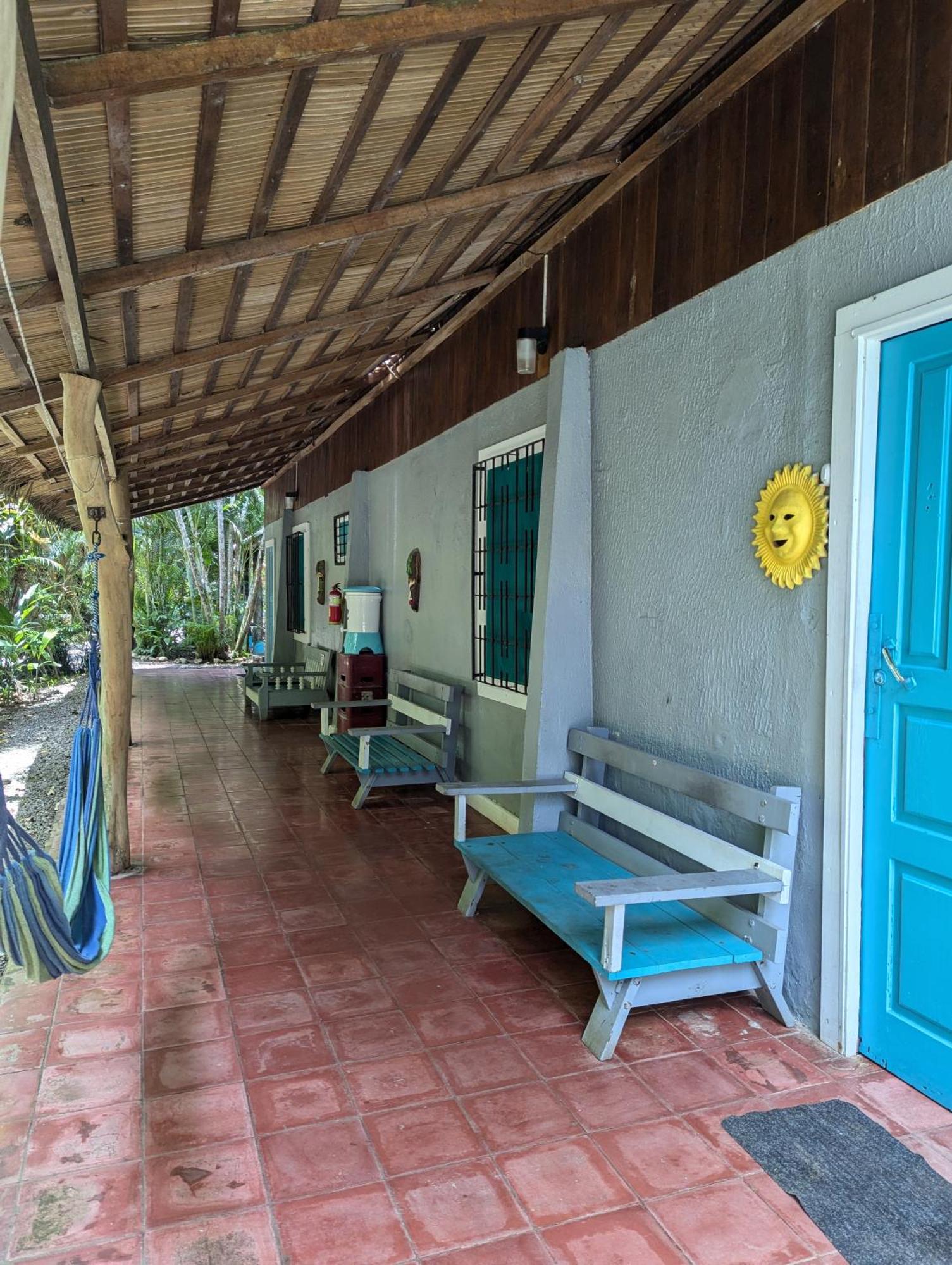 Tasty Dayz Hostel Puerto Viejo de Talamanca المظهر الخارجي الصورة
