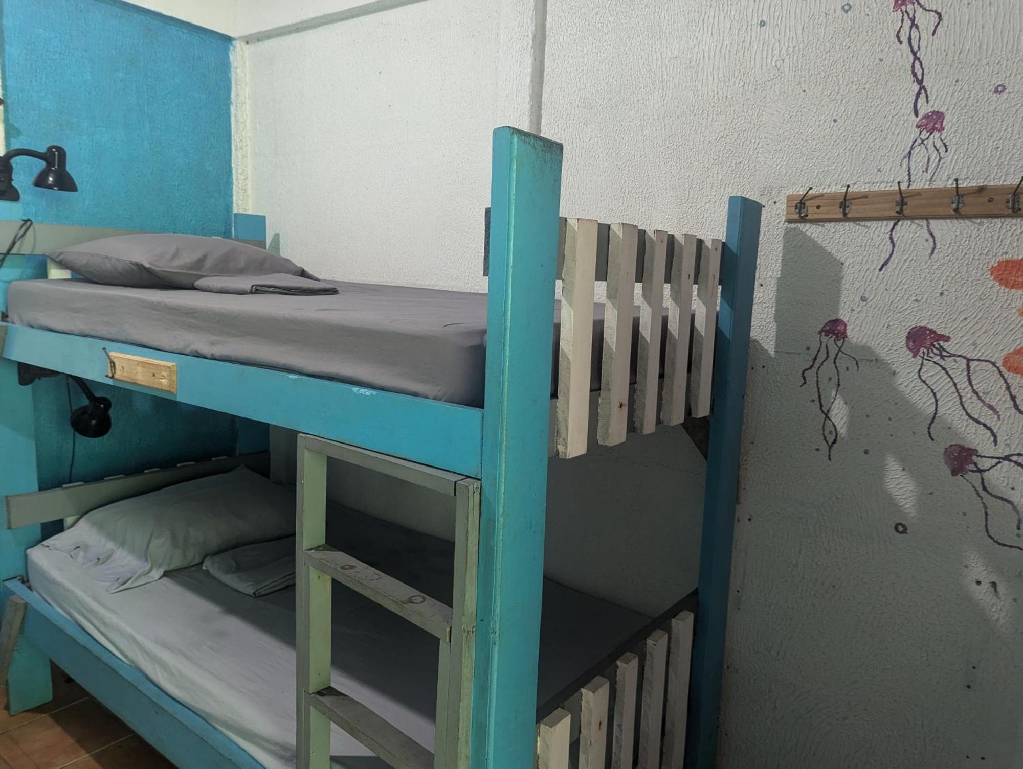 Tasty Dayz Hostel Puerto Viejo de Talamanca المظهر الخارجي الصورة