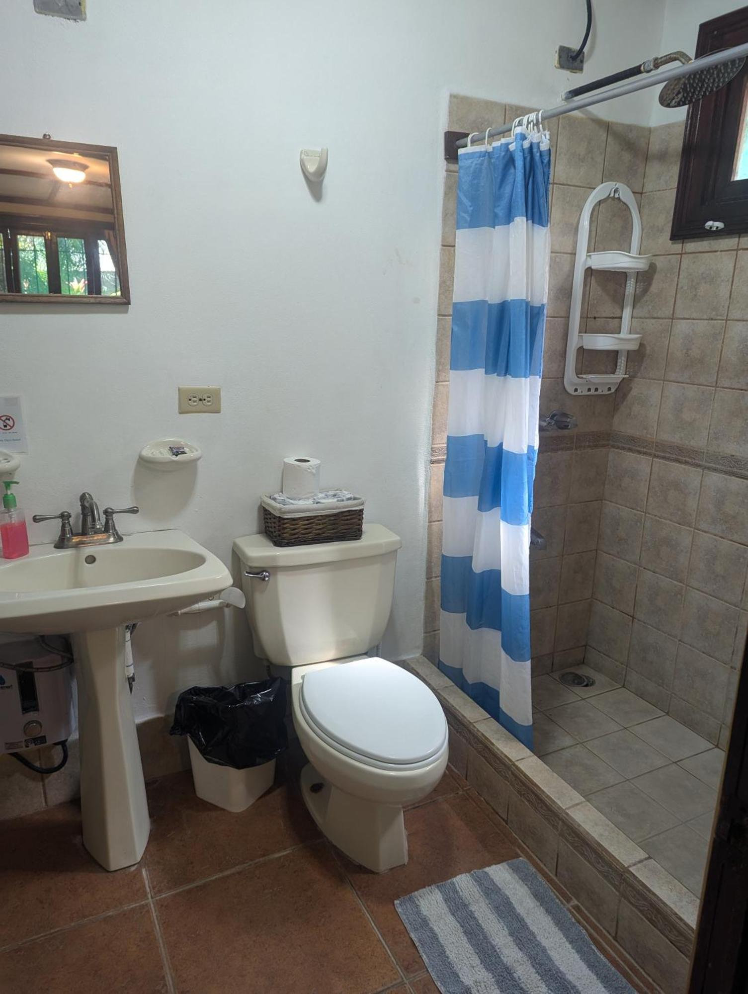 Tasty Dayz Hostel Puerto Viejo de Talamanca المظهر الخارجي الصورة