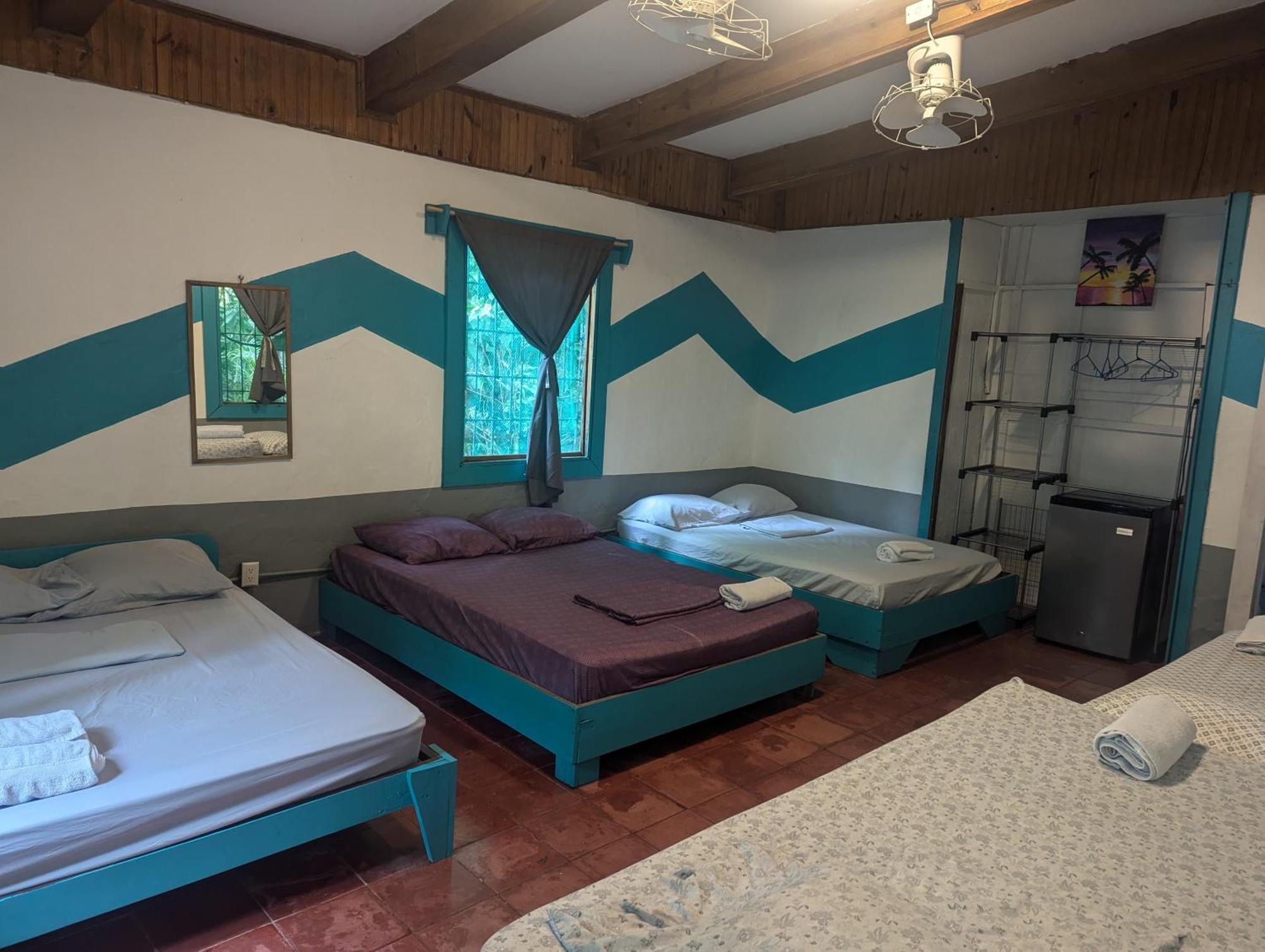 Tasty Dayz Hostel Puerto Viejo de Talamanca المظهر الخارجي الصورة