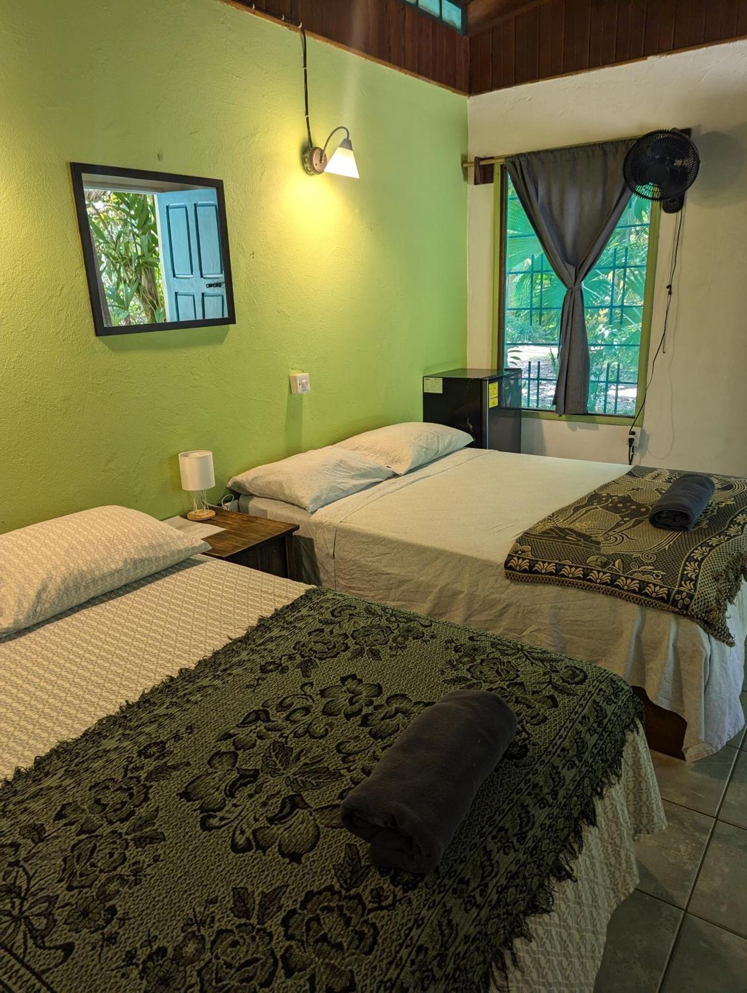 Tasty Dayz Hostel Puerto Viejo de Talamanca المظهر الخارجي الصورة