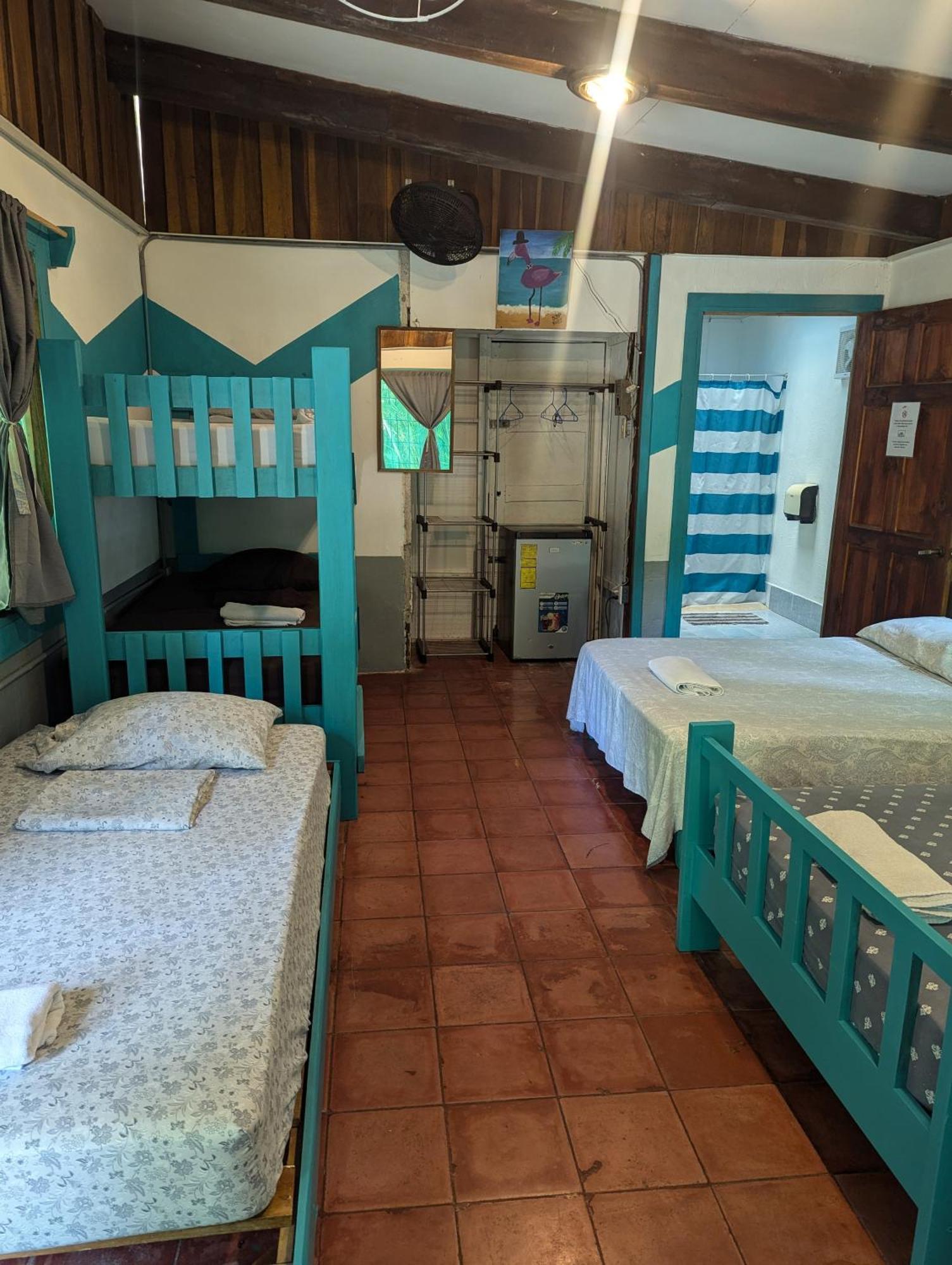 Tasty Dayz Hostel Puerto Viejo de Talamanca المظهر الخارجي الصورة