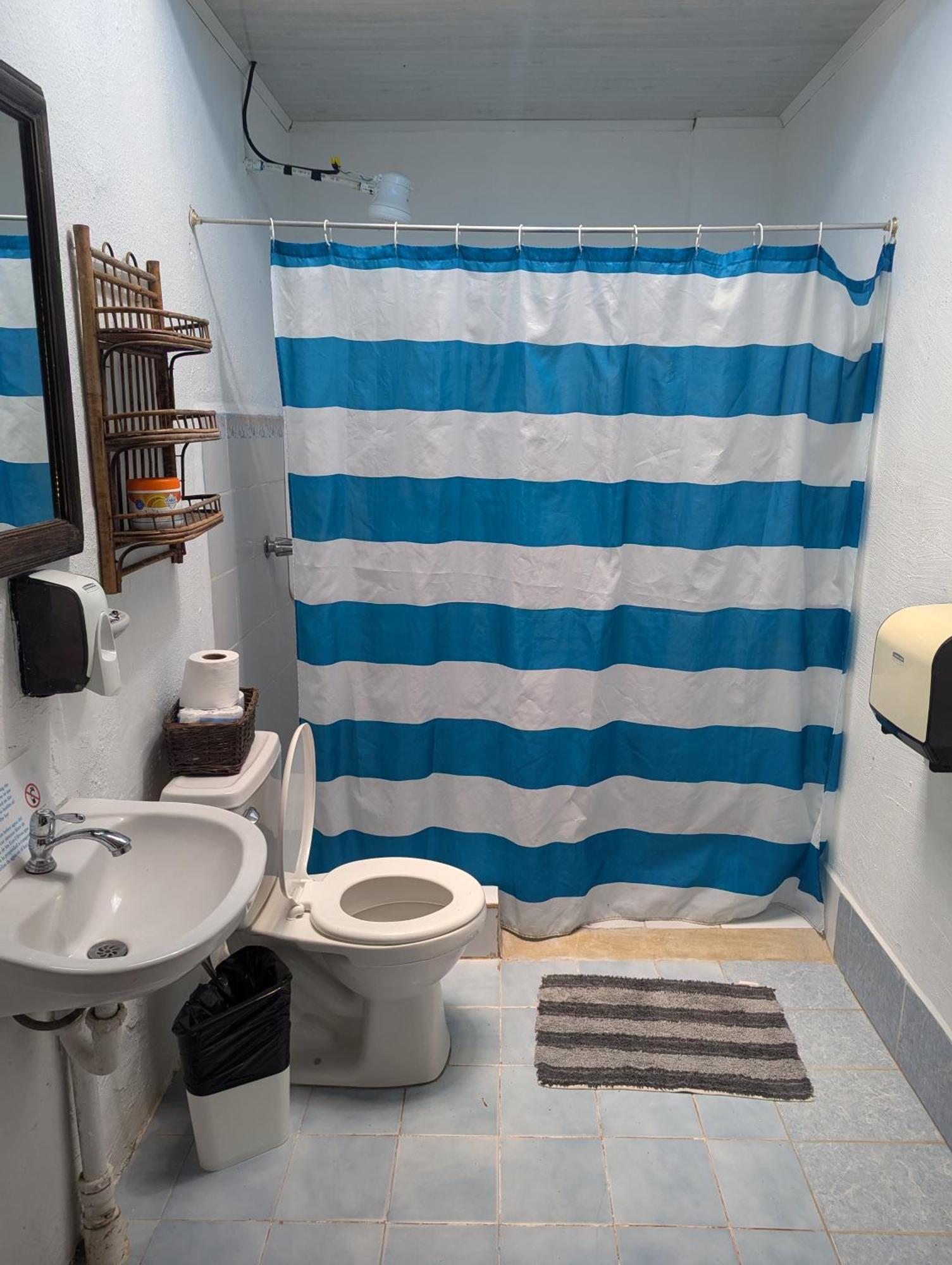 Tasty Dayz Hostel Puerto Viejo de Talamanca المظهر الخارجي الصورة