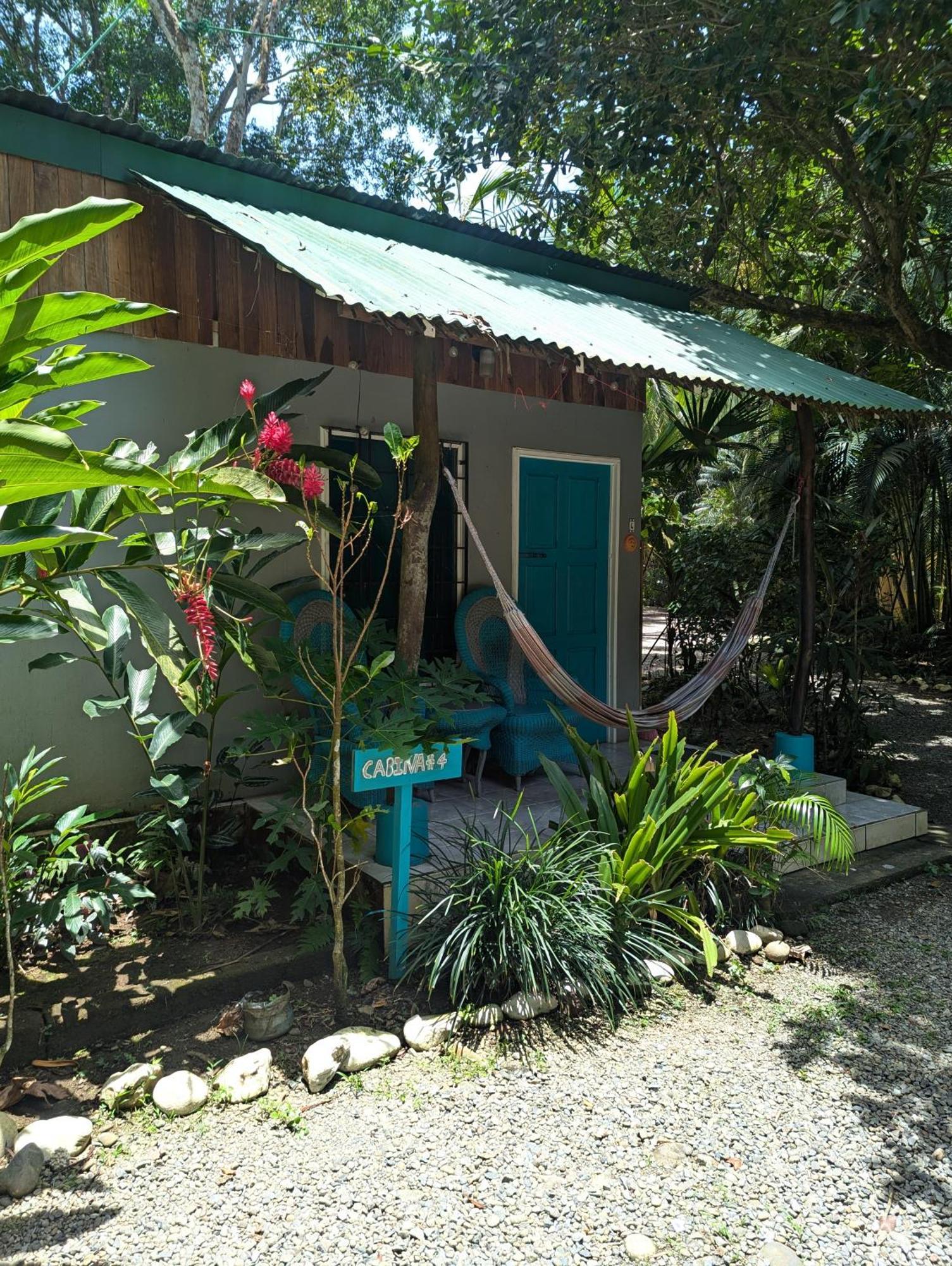 Tasty Dayz Hostel Puerto Viejo de Talamanca المظهر الخارجي الصورة