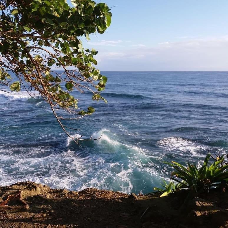 Tasty Dayz Hostel Puerto Viejo de Talamanca المظهر الخارجي الصورة