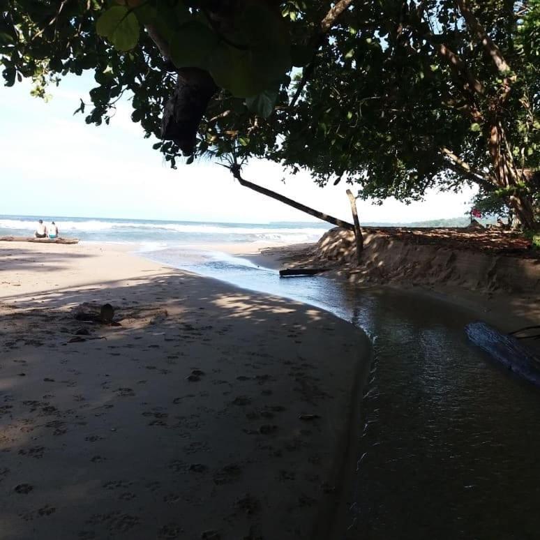 Tasty Dayz Hostel Puerto Viejo de Talamanca المظهر الخارجي الصورة