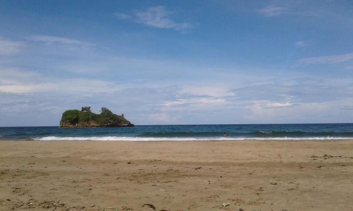 Tasty Dayz Hostel Puerto Viejo de Talamanca المظهر الخارجي الصورة