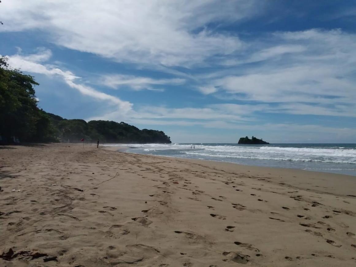 Tasty Dayz Hostel Puerto Viejo de Talamanca المظهر الخارجي الصورة
