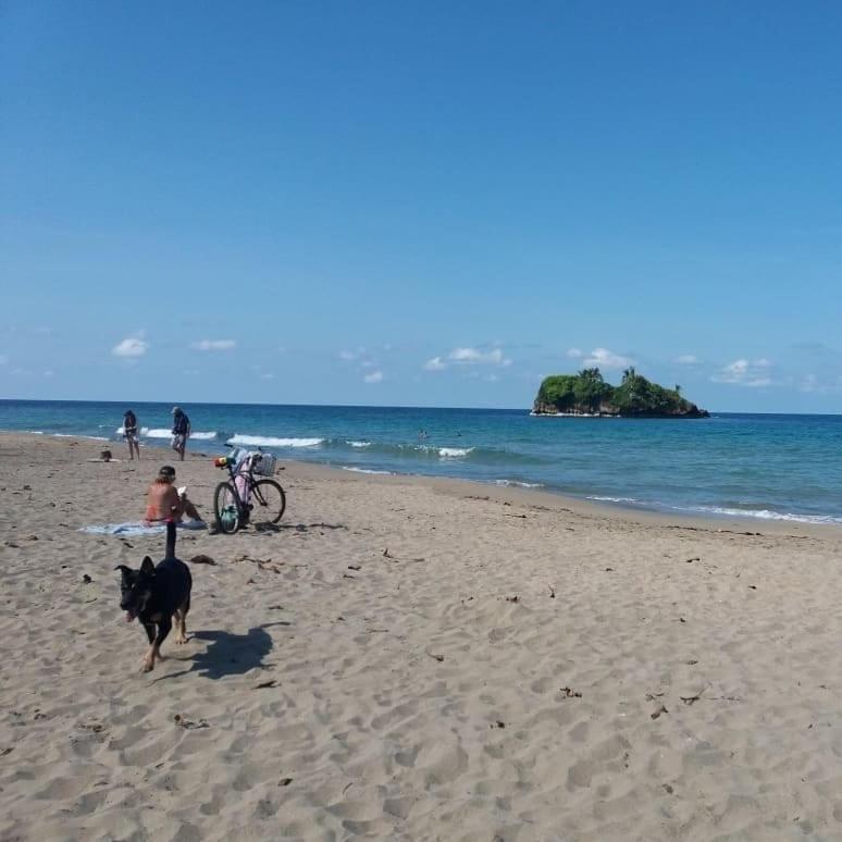 Tasty Dayz Hostel Puerto Viejo de Talamanca المظهر الخارجي الصورة