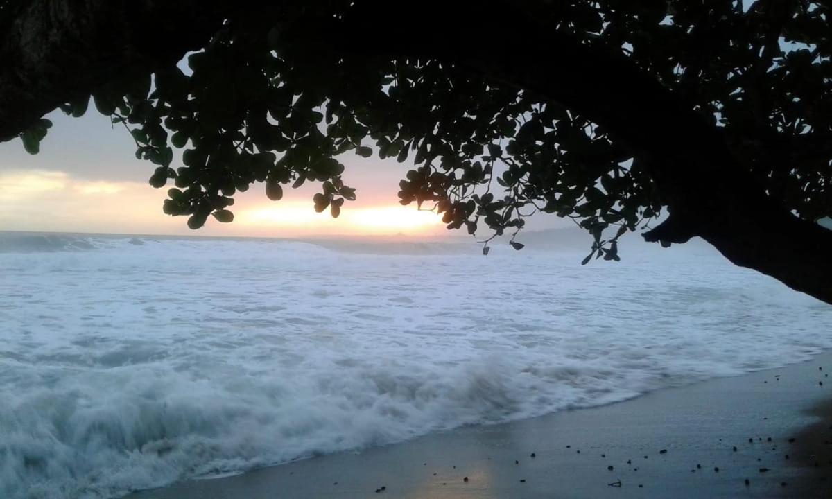 Tasty Dayz Hostel Puerto Viejo de Talamanca المظهر الخارجي الصورة