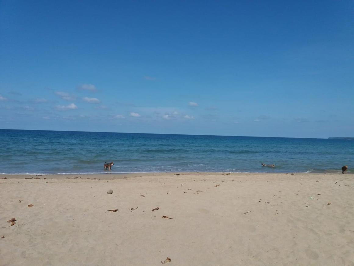 Tasty Dayz Hostel Puerto Viejo de Talamanca المظهر الخارجي الصورة