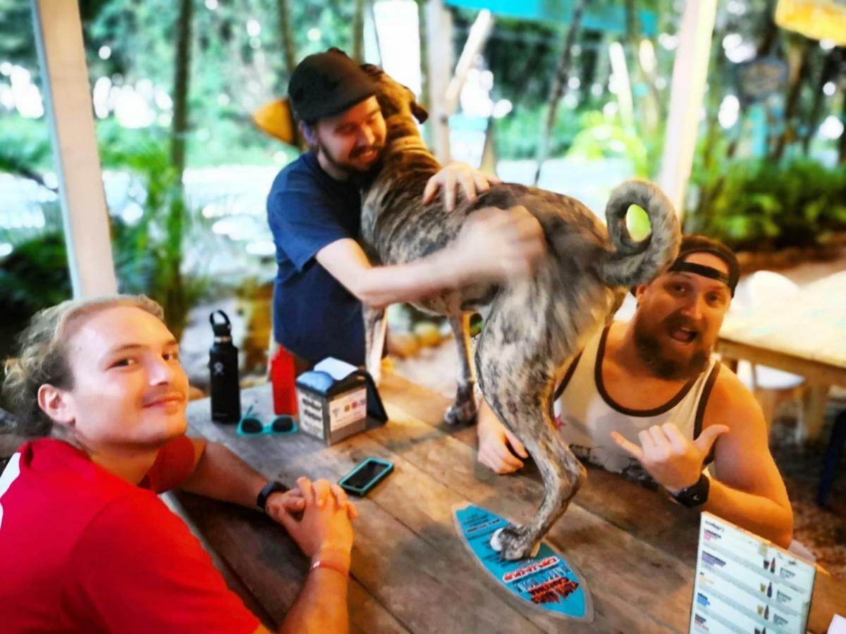 Tasty Dayz Hostel Puerto Viejo de Talamanca المظهر الخارجي الصورة