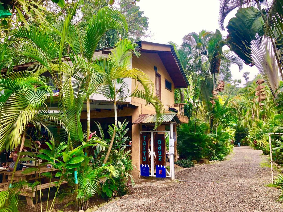 Tasty Dayz Hostel Puerto Viejo de Talamanca المظهر الخارجي الصورة