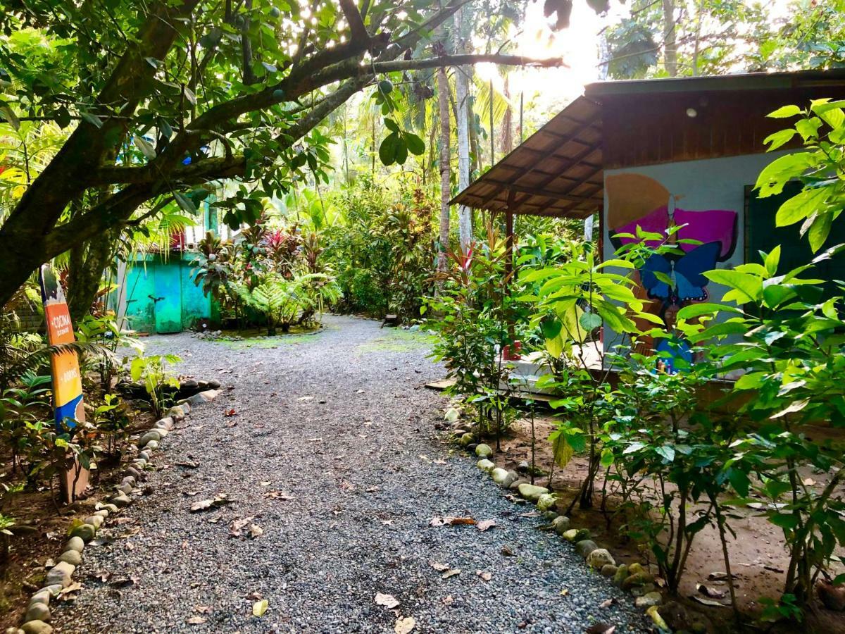 Tasty Dayz Hostel Puerto Viejo de Talamanca المظهر الخارجي الصورة
