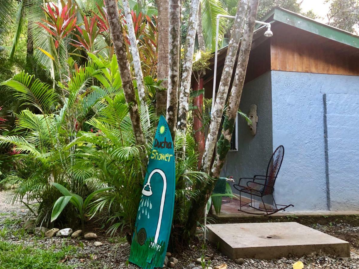 Tasty Dayz Hostel Puerto Viejo de Talamanca المظهر الخارجي الصورة