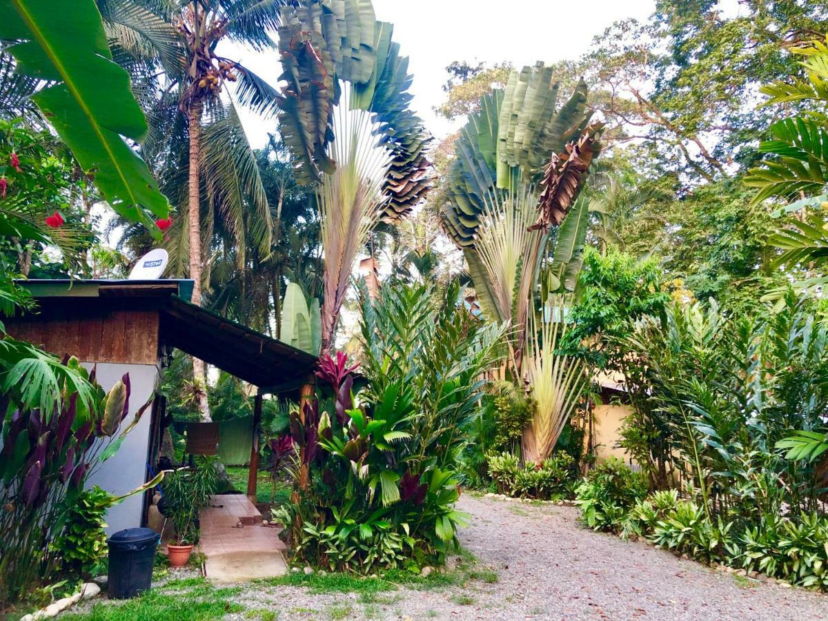 Tasty Dayz Hostel Puerto Viejo de Talamanca المظهر الخارجي الصورة