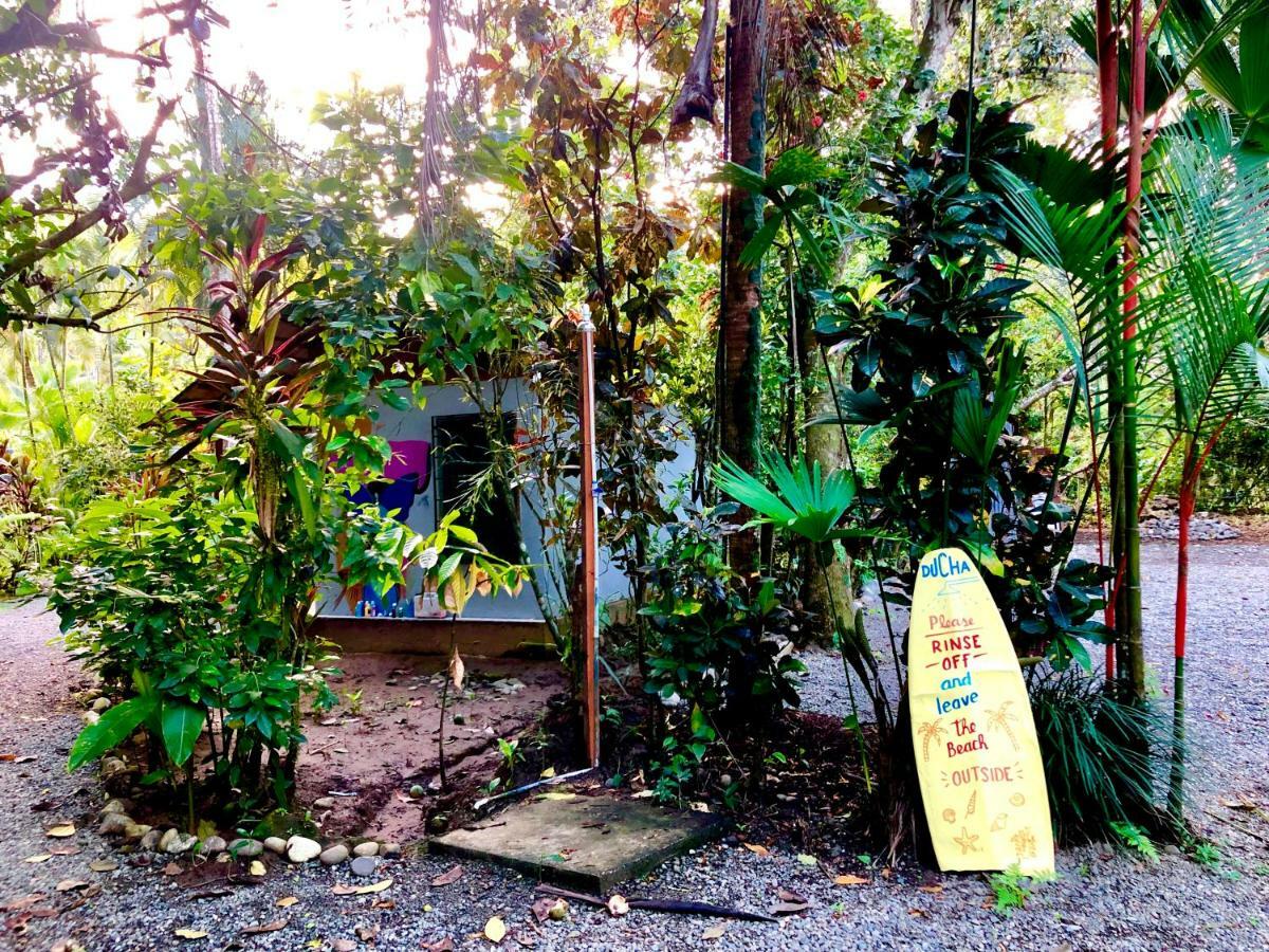 Tasty Dayz Hostel Puerto Viejo de Talamanca المظهر الخارجي الصورة