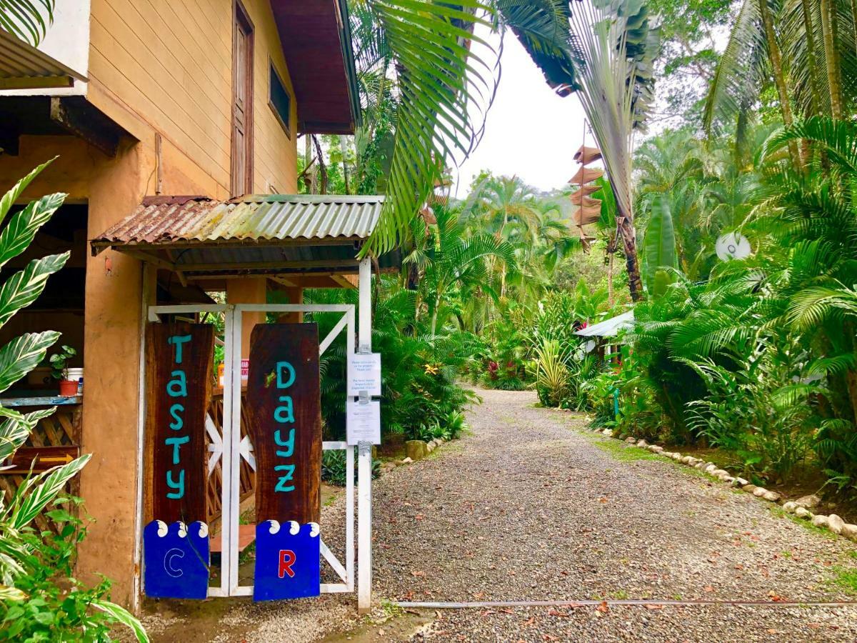 Tasty Dayz Hostel Puerto Viejo de Talamanca المظهر الخارجي الصورة