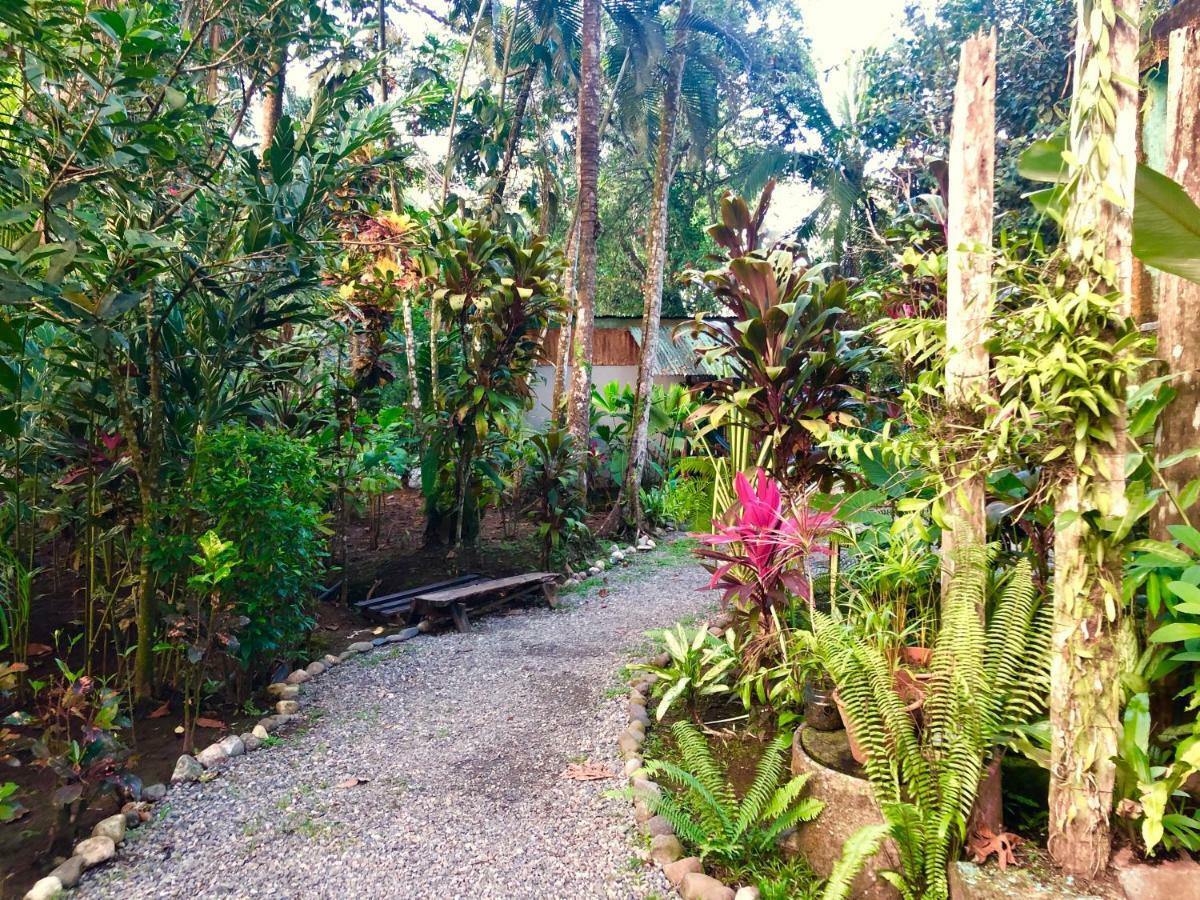 Tasty Dayz Hostel Puerto Viejo de Talamanca المظهر الخارجي الصورة